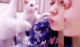 搞笑视频网,笑翻天！搞笑视频网带你领略欢乐无限