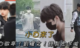 爆料刘耀文吃瓜视频下载,揭秘娱乐圈幕后真相